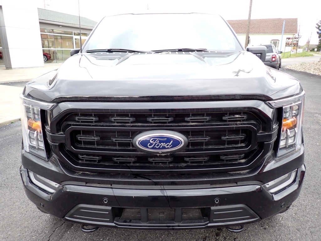 2023 Ford F-150 SHERROD photo