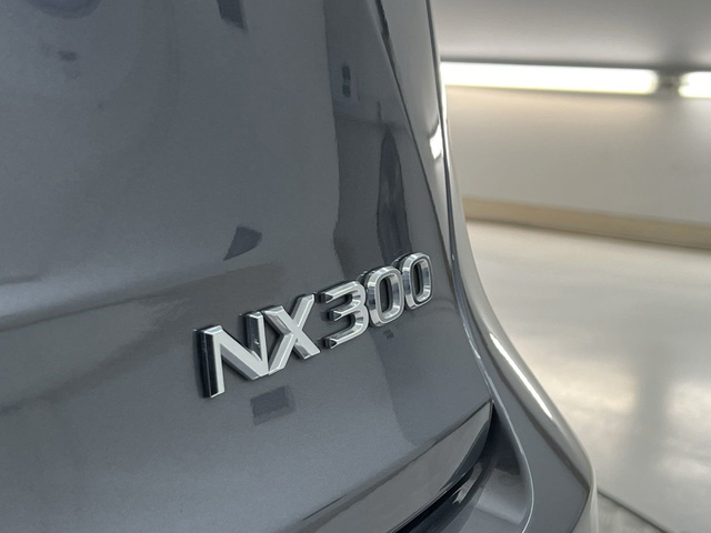 2018 Lexus NX 300 NX 300 photo