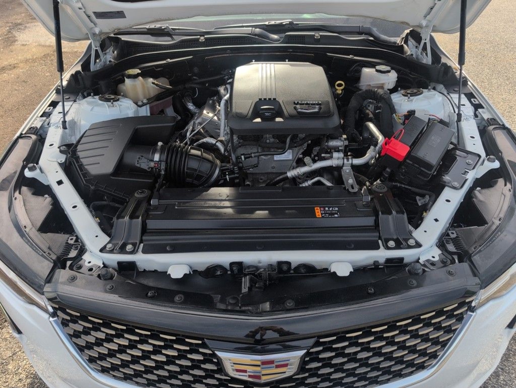 2021 Cadillac CT4 Luxury photo