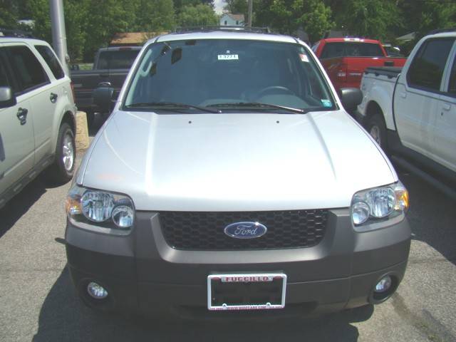2007 Ford Escape XLT photo